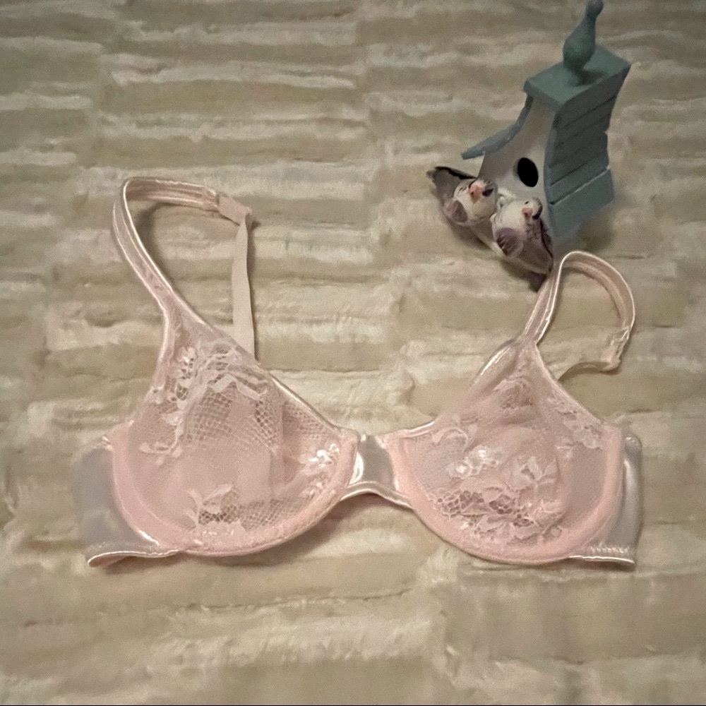 Sheer,  Lily of France Pink Lace and Satin Bra